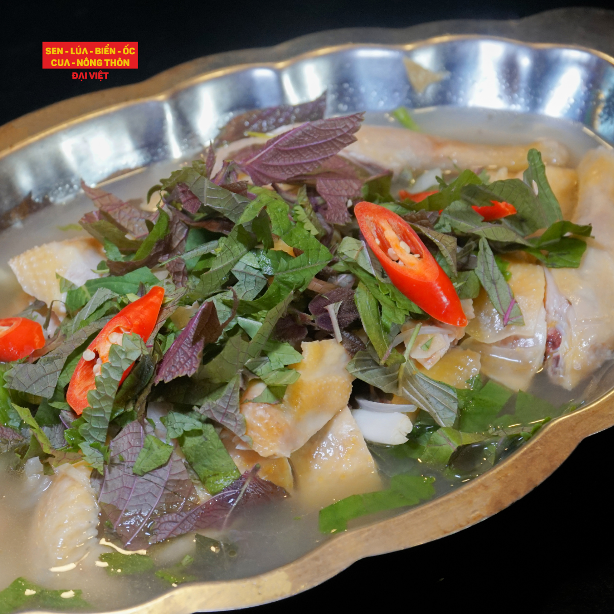  Steamed Bantam Chicken With Rice Wine - Gà Tre Hấp Rượu 