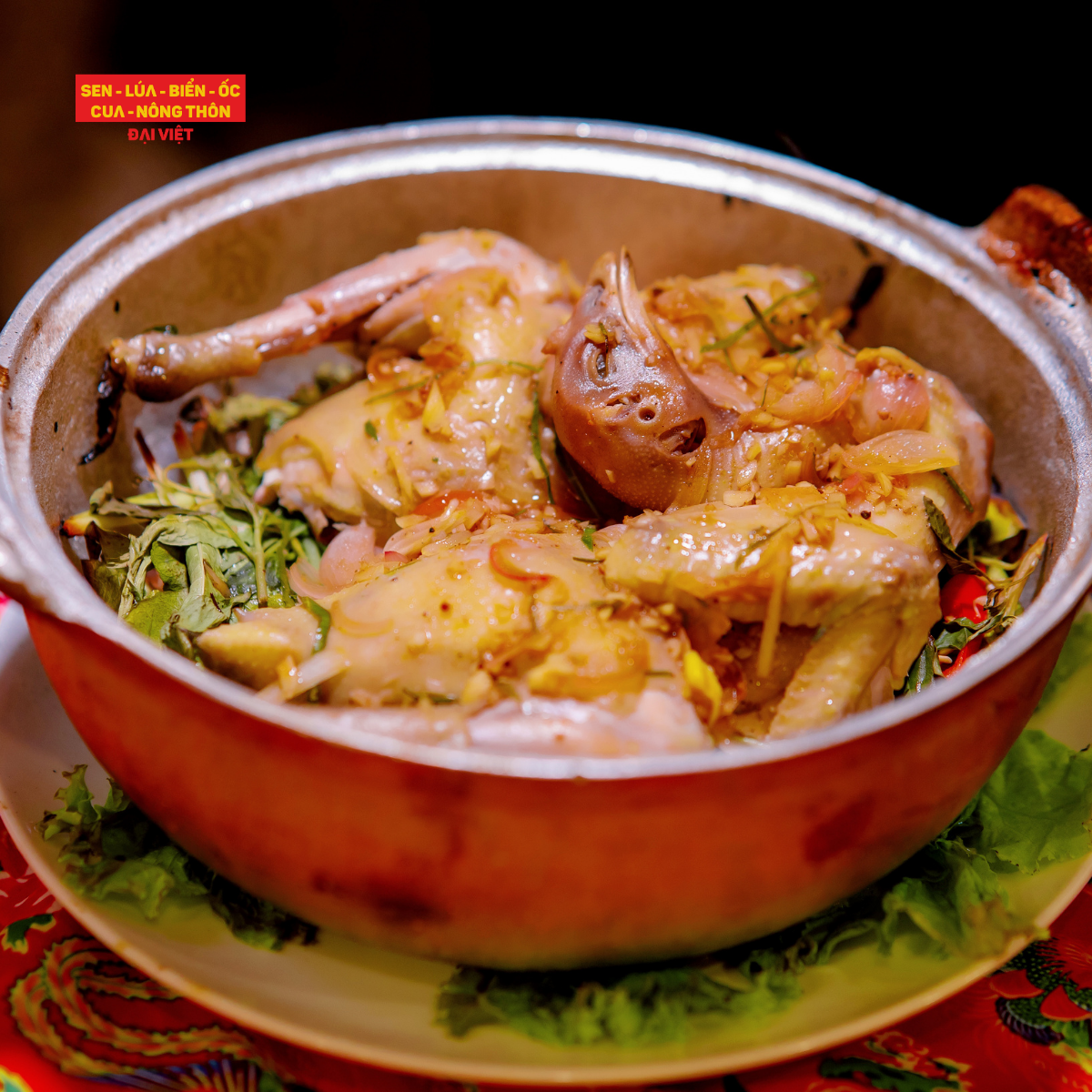 Steamed Salted Bantam Chicken - Gà Tre Nổ Muối Hột