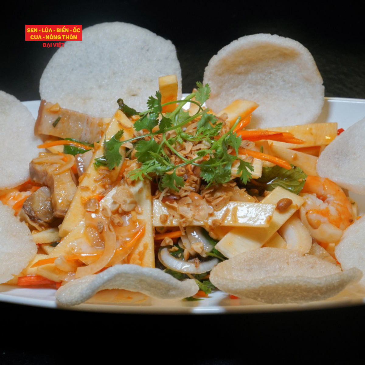 Vietnamese Coconut Blade Salad With Shrimp And Pork - Gỏi Củ Hủ Dừa Tôm Thịt