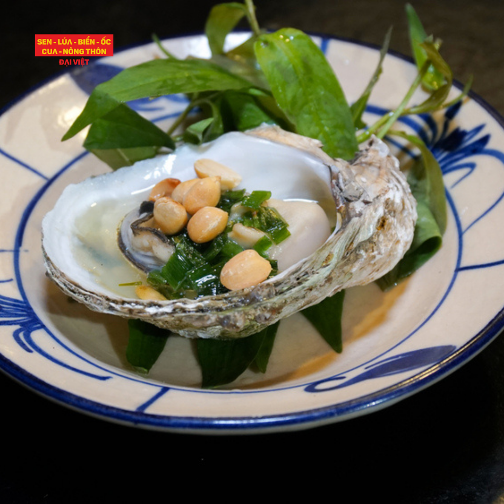 Oyster Grilled With Scallion - Hàu Nướng Mỡ Hành