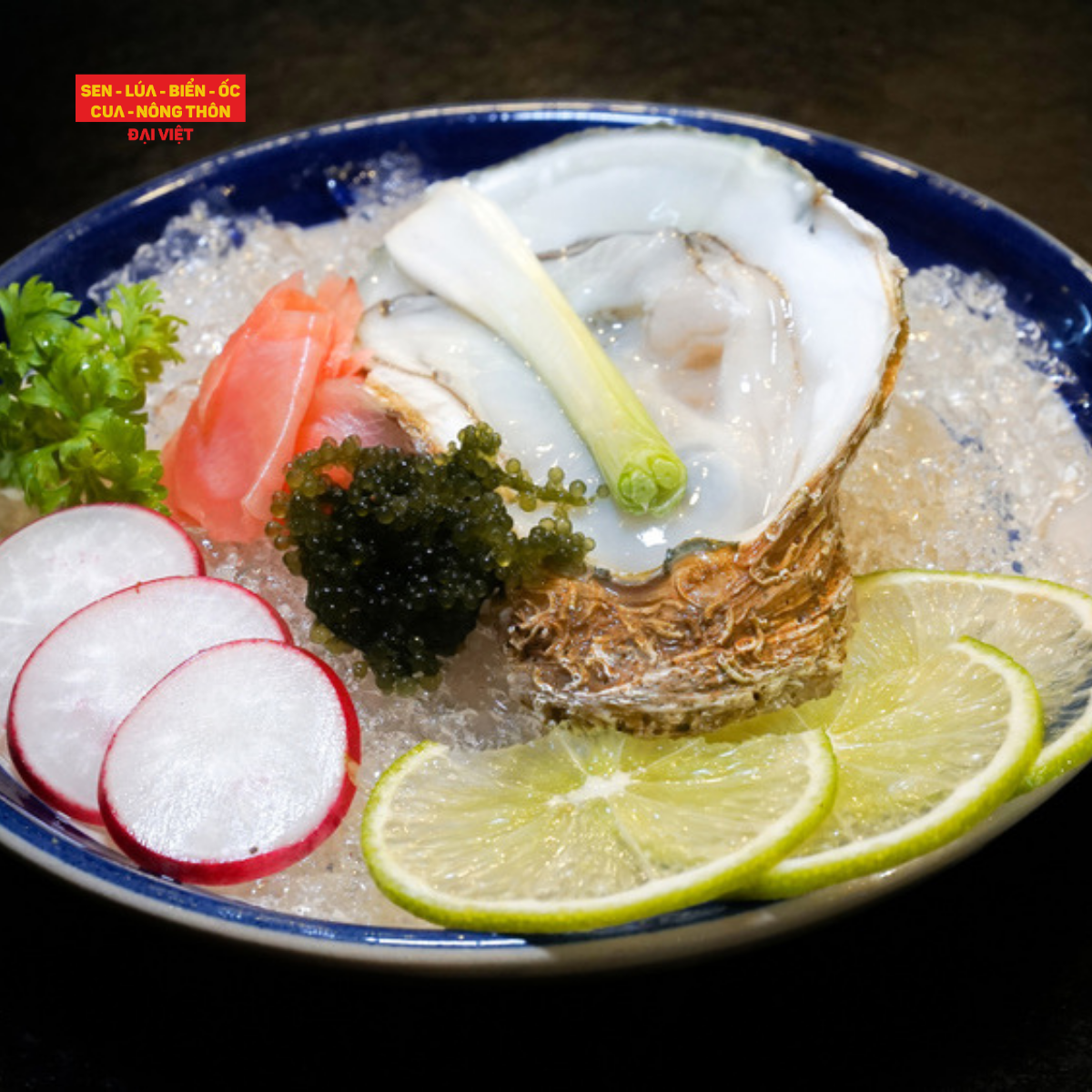 Oyster Wasabi - Hàu Wasabi
