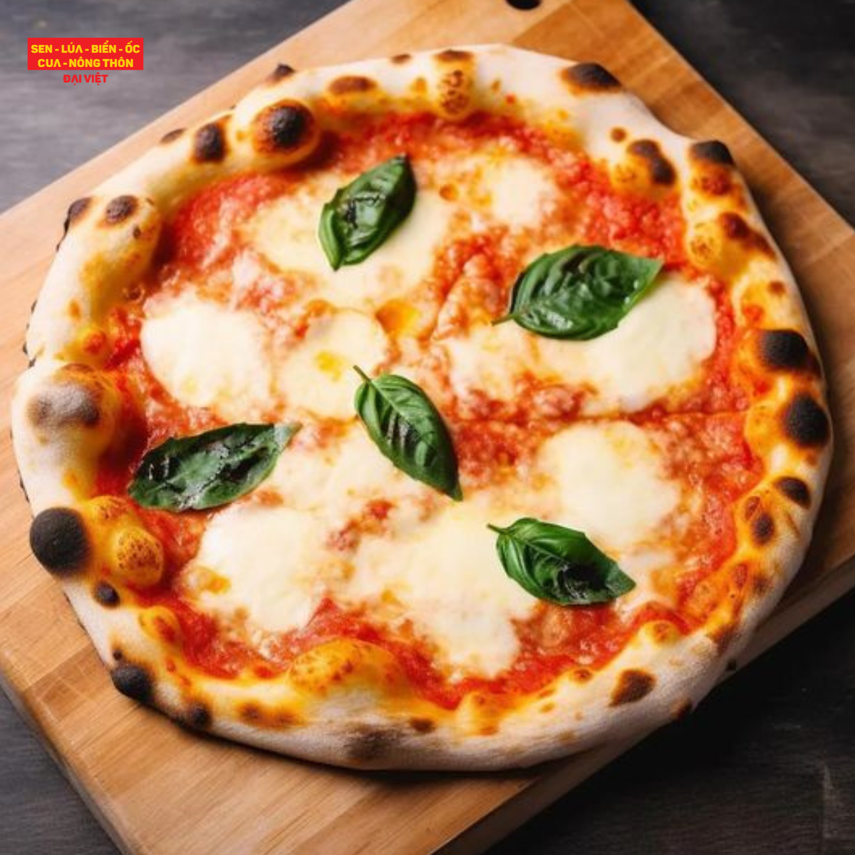Margherita pizza