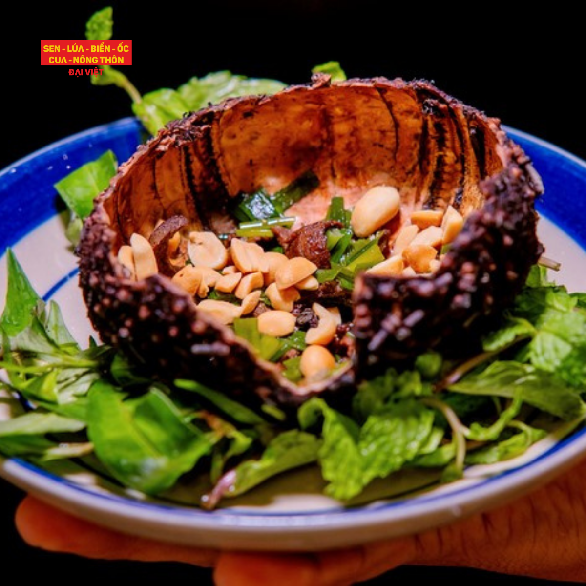Nhum Nướng Mỡ Hành - Grilled Sea Urchin With Scallion
