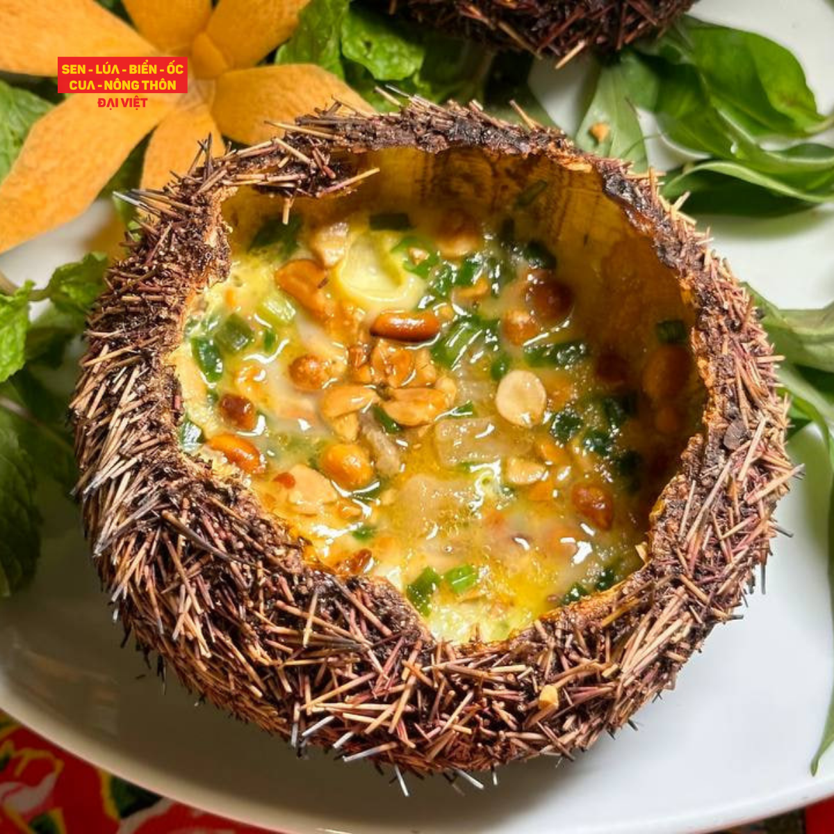  Nhum Nướng Trứng Cút - Grilled Sea Urchin With Quail Egg 