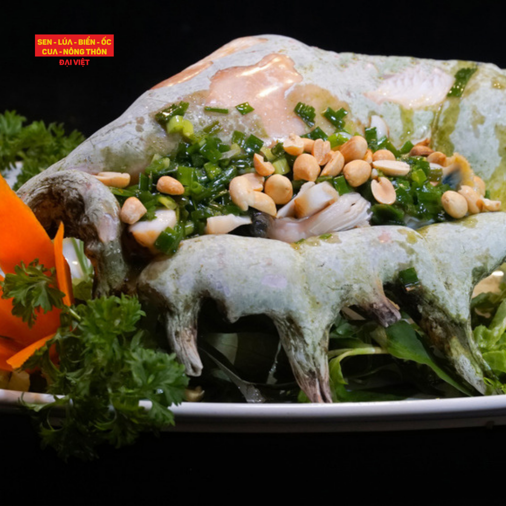 Grilled Spider Conch With Scallion - Ốc Cồ Việt Nướng Mỡ Hành