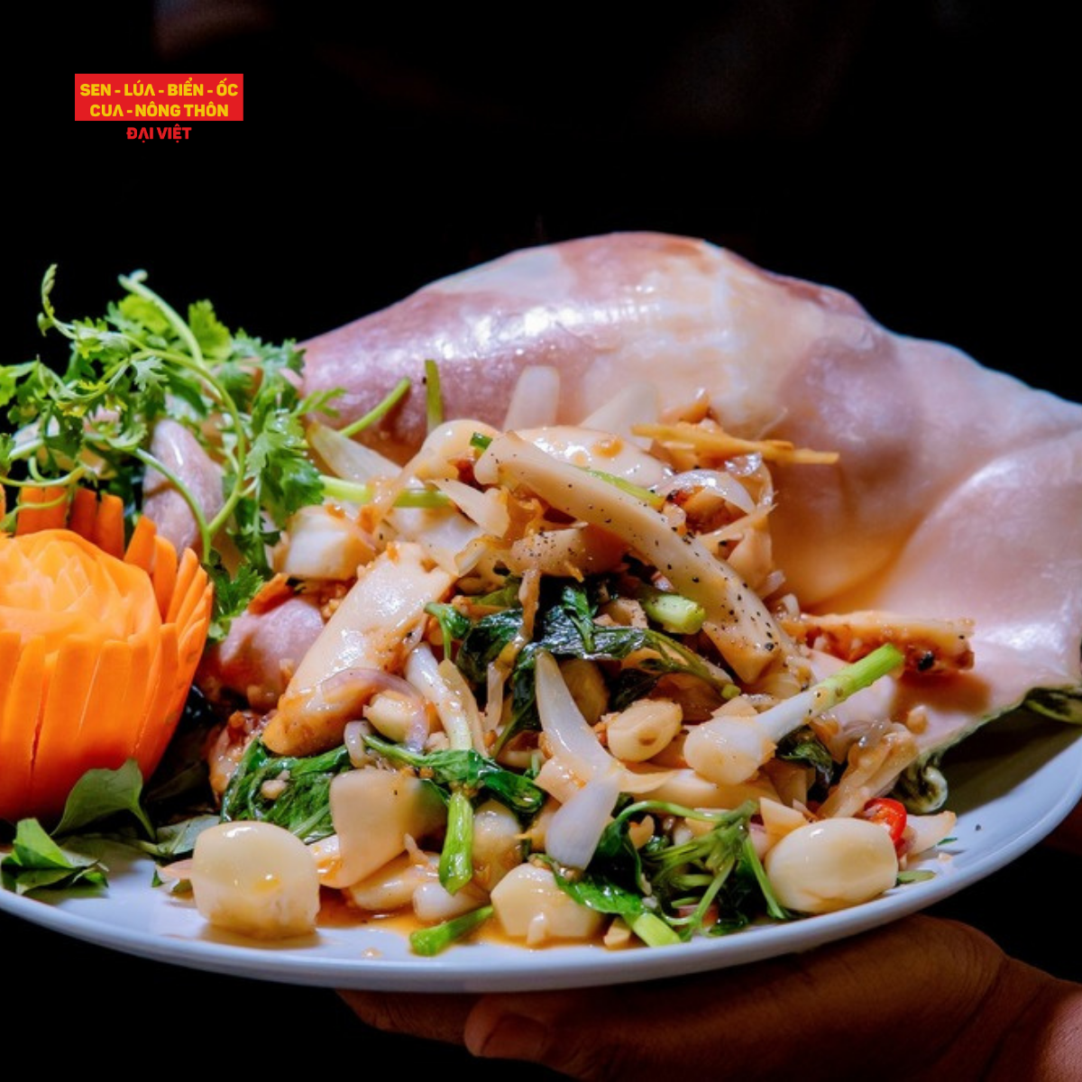 Pan-fried Elephant Tusk Snail With Morning Glory - Ốc Ngà Voi Xào Rau Muống