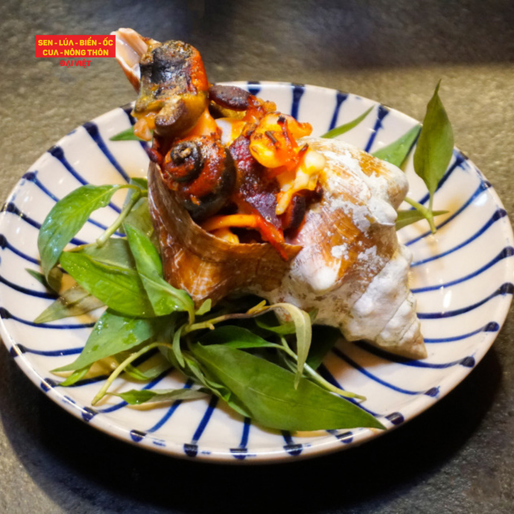  Grilled Giant Trapezium Horse Conch With Salt & Chili - Ốc Đỏ Đại Nướng Muối Ớt (Giá tính theo 1 con 300 gram) 