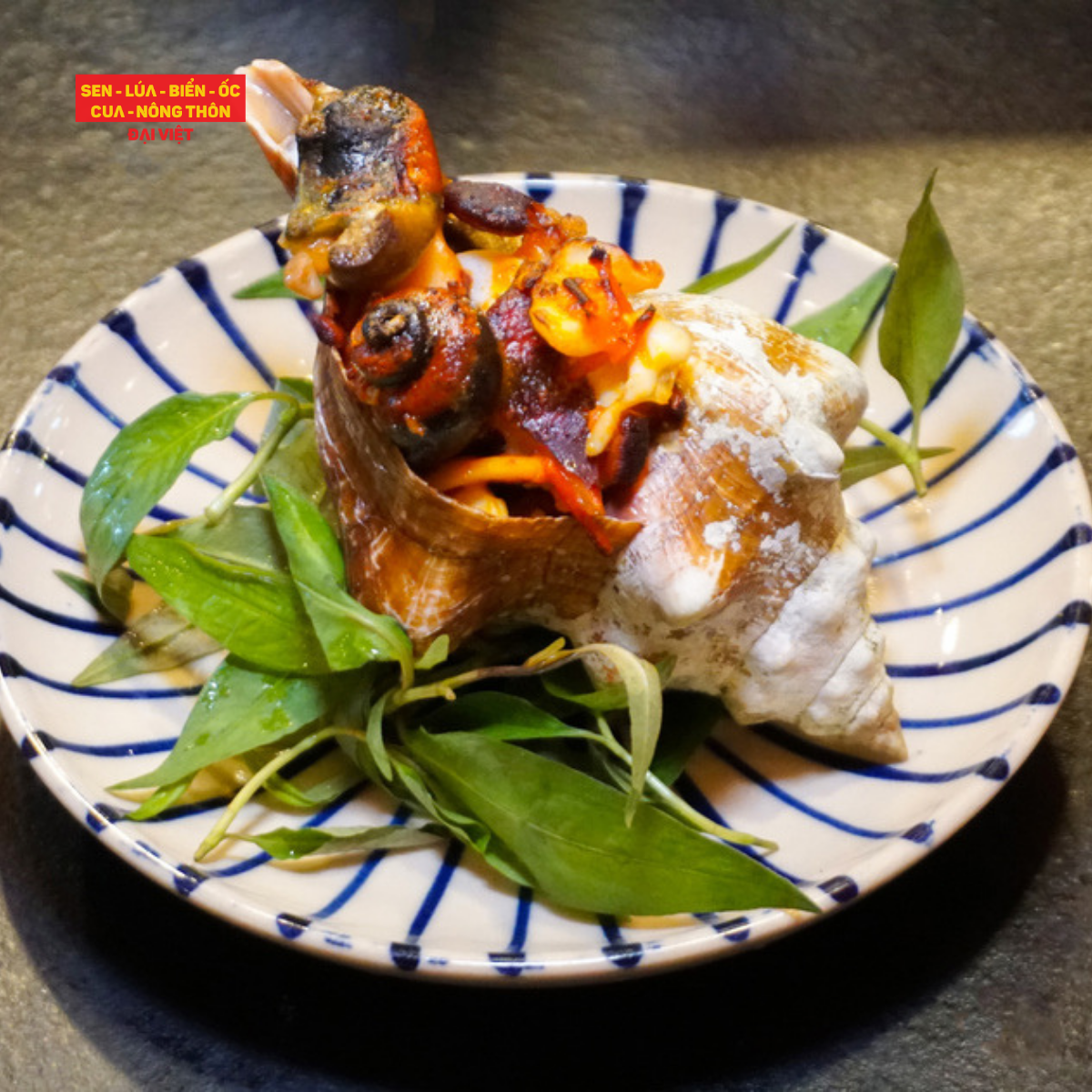 Grilled Giant Trapezium Horse Conch With Salt & Chili - Ốc Đỏ Đại Nướng Muối Ớt (Giá tính theo 1 con 300 gram)