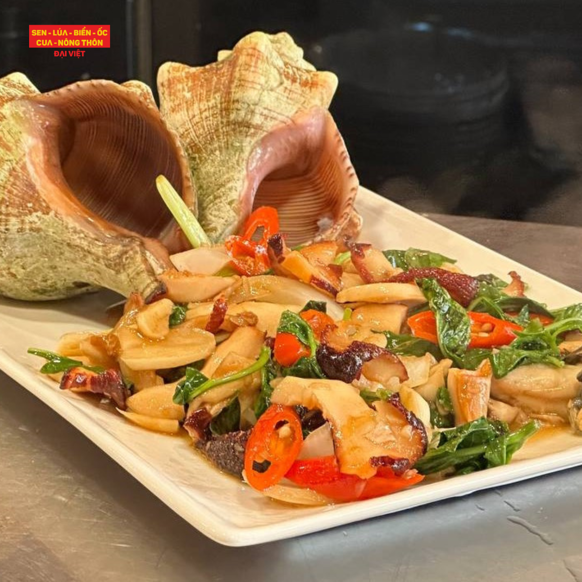Stir-fried Giant Trapezium Horse Conch With Basil - Ốc Đỏ Đại Xào Lá Quế (Giá tính theo 1 con 300 gram)
