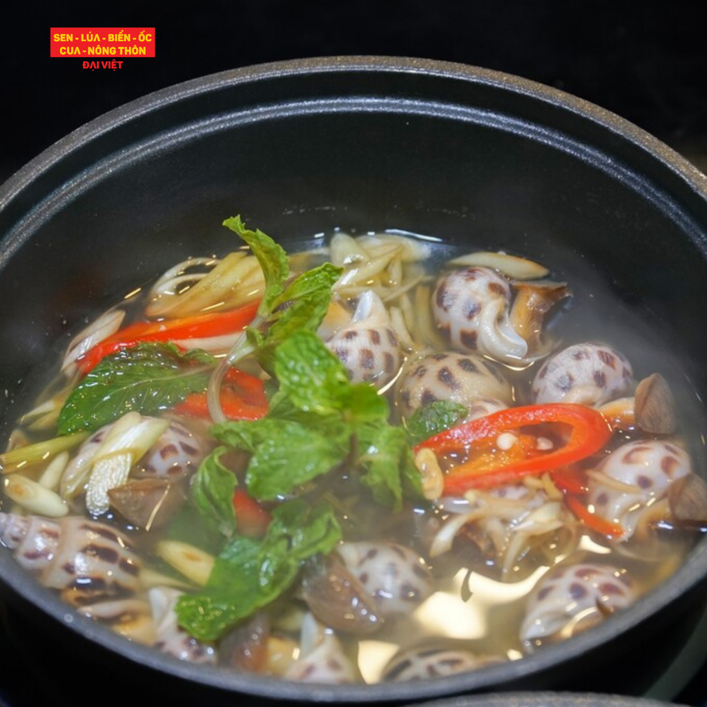 Steamed Sweet Snail With Lemongrass - Ốc Hương Hấp Sả