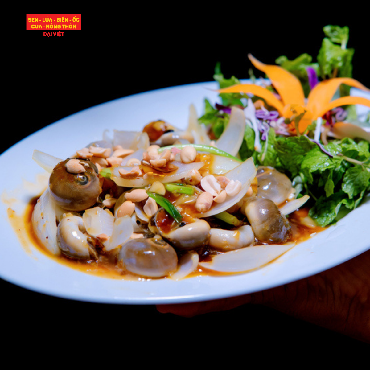  Grease Snail With Tamarind Sauce - Ốc Mỡ Xào Me 
