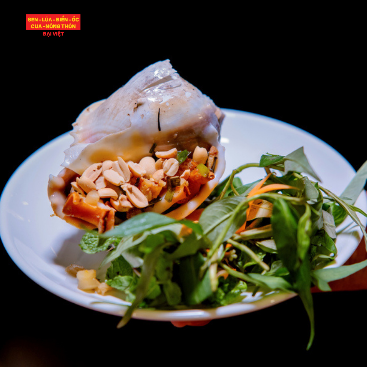 Grilled Japanese Bonnet Snail With Scallion - Ốc Tỏi Nướng Mỡ Hành