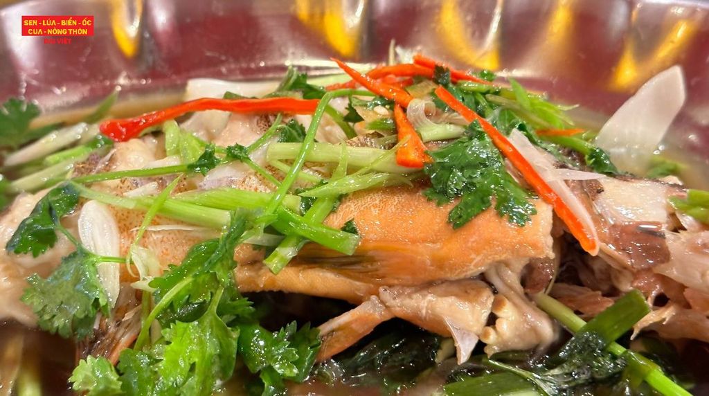 Steamed Red Grouper With Soy Sauce (set 800 gram) - Cá Mú Đỏ Hấp Xì Dầu ( 1 con 800 gram)