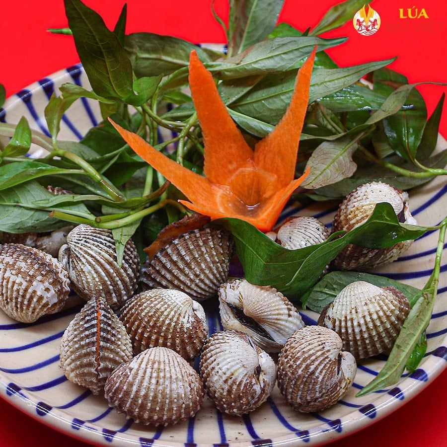  Grilled Blood Cockle Without Spices - Sò Huyết Nướng Mọi 