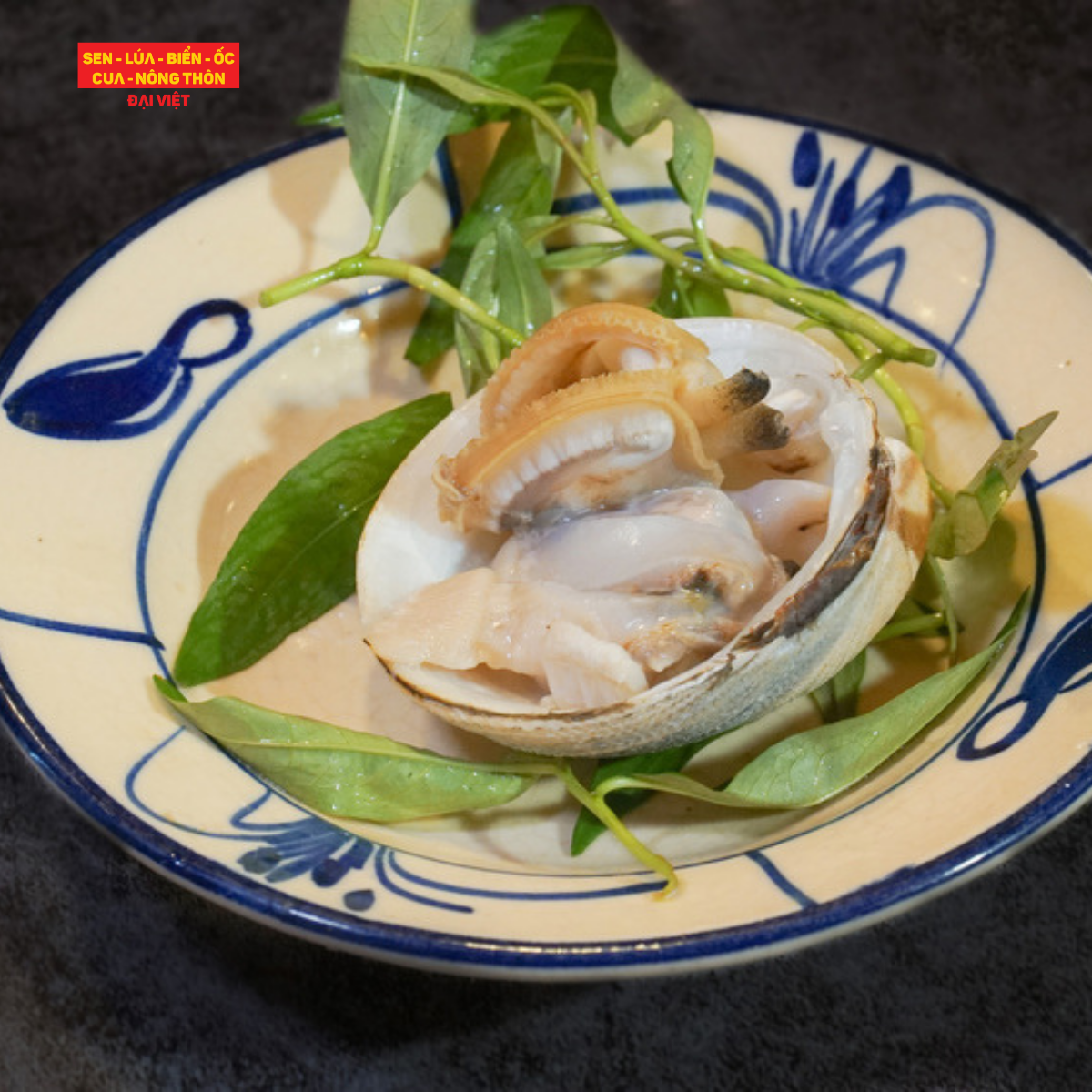Grilled Giant Clam Without Spices - Sò Tộ Nướng Mọi