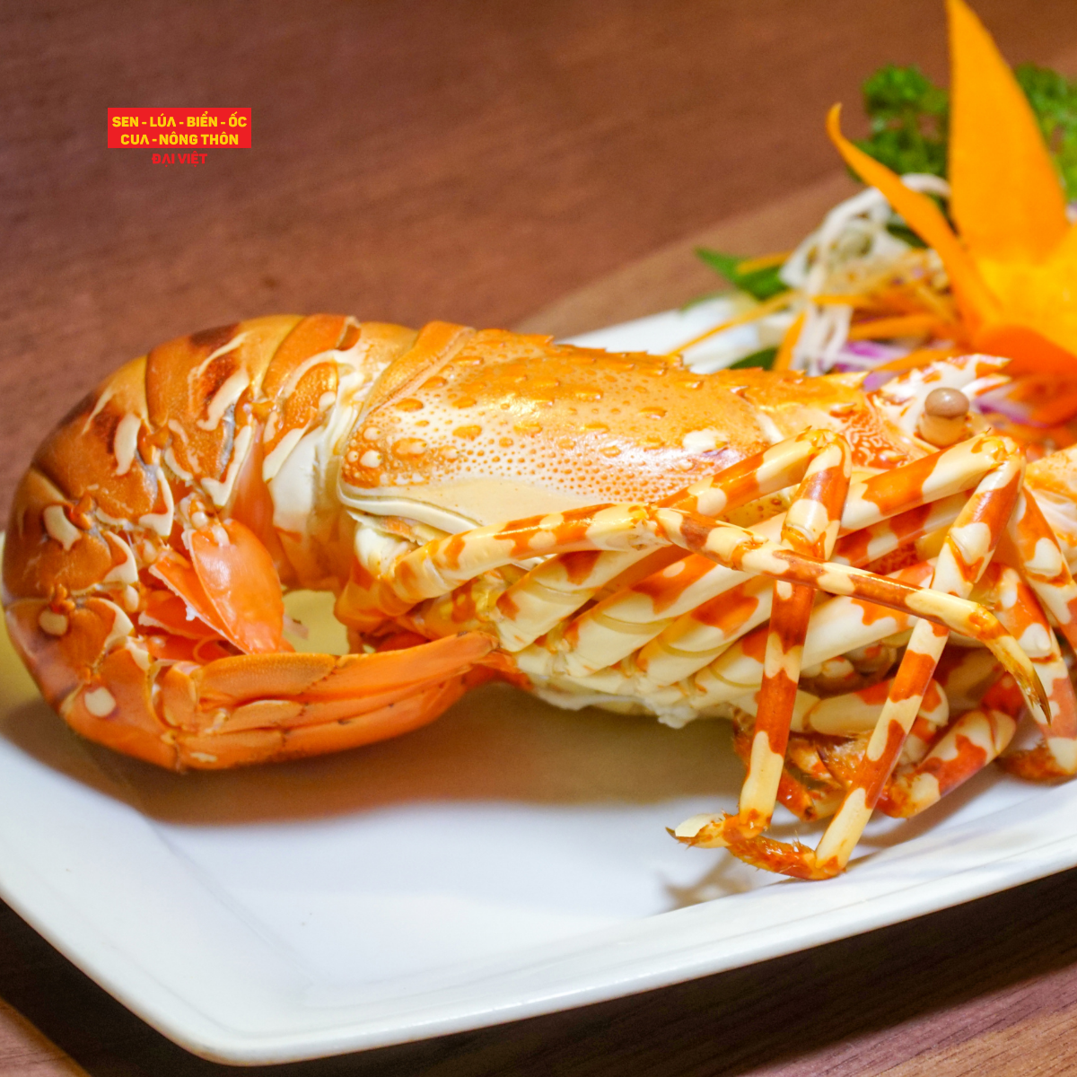 Steamed Tropical Rock Lobster - Tôm Hùm Bông Hấp (Giá tính theo 1 con 600 gram)