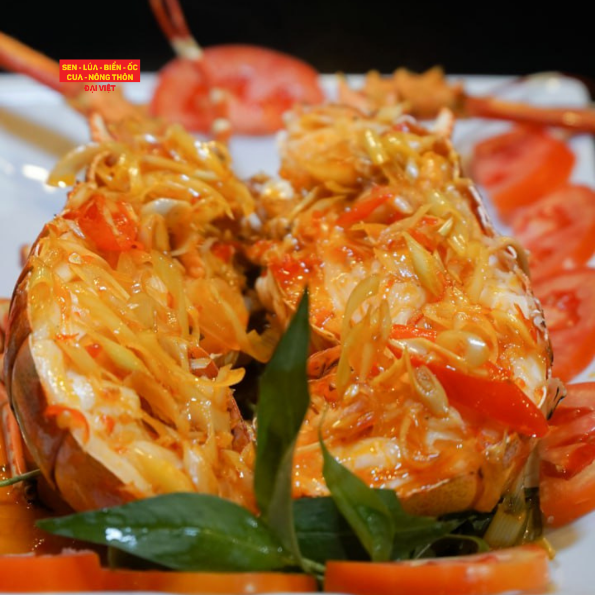 Pan-fried Tropical Rock Lobster With Lua Dai Viet Sauce - Tôm Hùm Bông Sốt Lúa Đại Việt (Giá tính theo 1 con 600 gram)