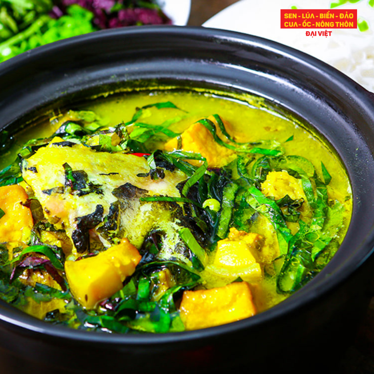 Conger Eel Stew With Green Banana And Tofu - Cá chình om chuối đậu (con 1,5kg)