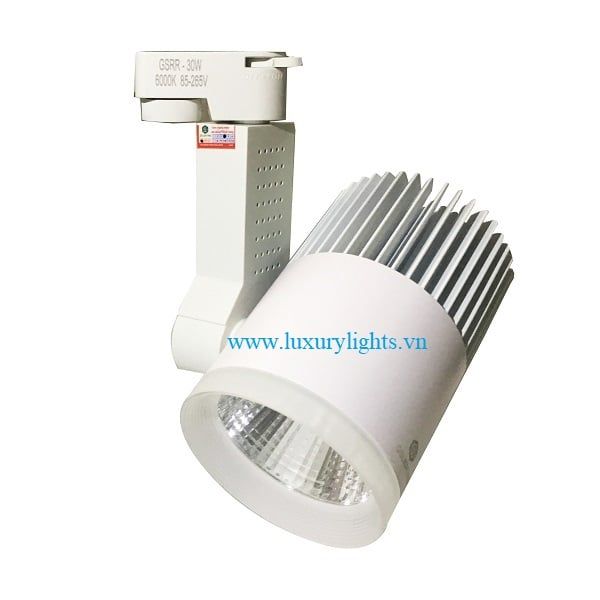 Đèn LED Rọi Ray 30W GS Lighting GSRR30