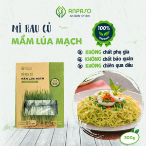 Mì Mầm Lúa Mạch Organic Anpaso 300g