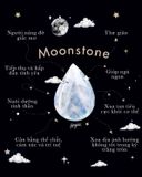  Bông Tai Bạc Hình Tròn Đá Ánh Trăng Moonstone 