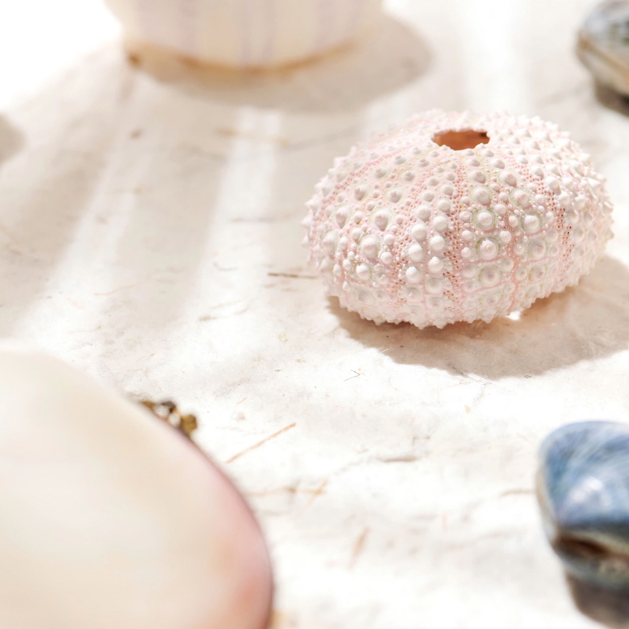 Dây Chuyền Moon Over Water Đá Moonstone SP008196 Gypsy.lala
