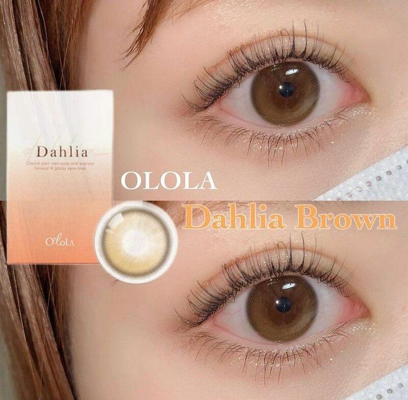 OLOLA - 6 THÁNG (1 CHIẾC) Dahlia Brown - Kính áp tròng Hàn Quốc Seoullens