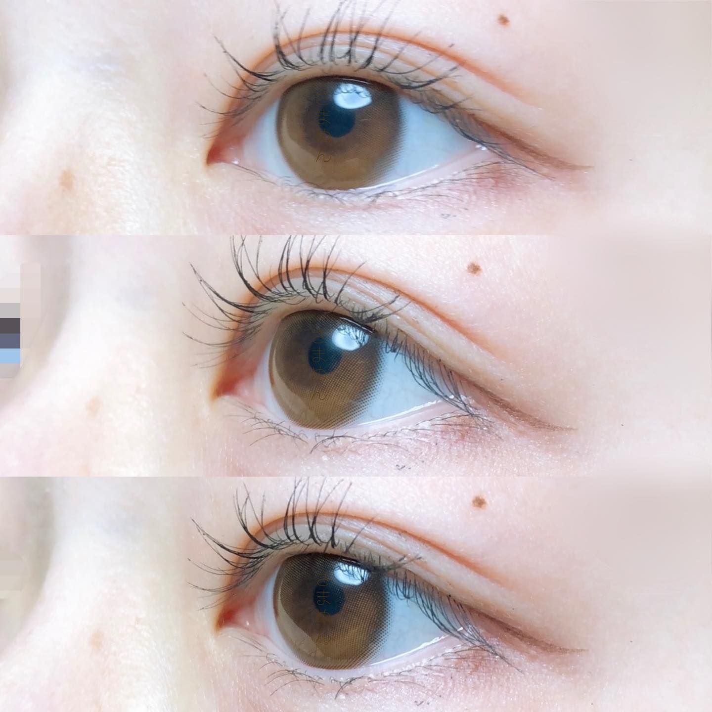 OLOLA - 6 THÁNG (1 CHIẾC) Dahlia Brown - Kính áp tròng Hàn Quốc Seoullens
