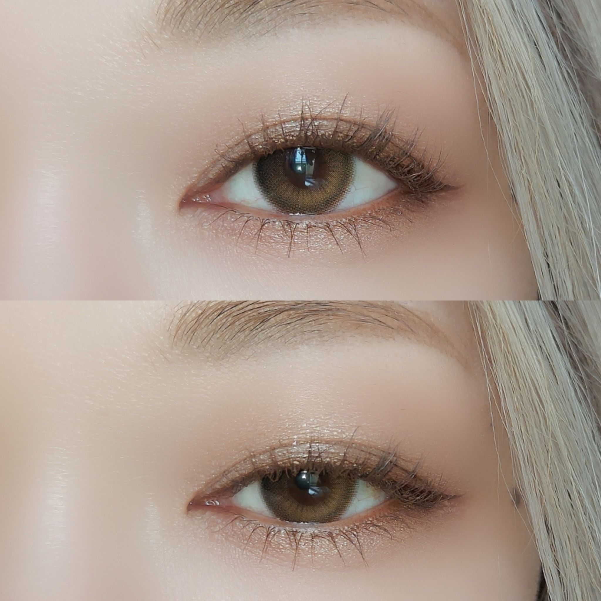 OLOLA - 6 THÁNG (1 CHIẾC) DayMood Brown - Kính áp tròng Hàn Quốc Seoullens