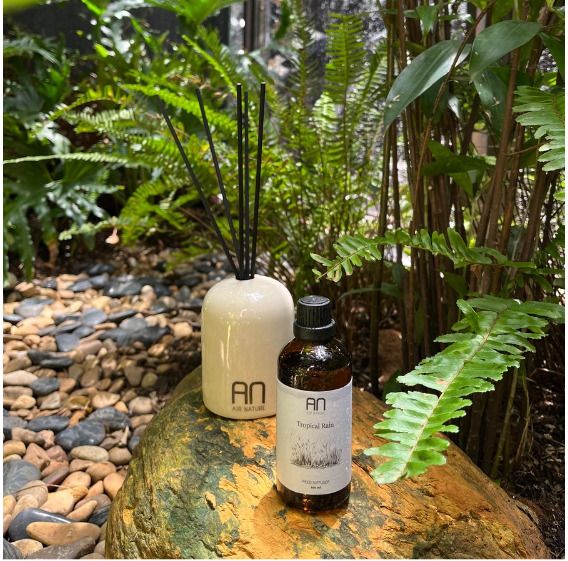 Tropical Rain - Bộ khuếch tán tinh dầu que mây