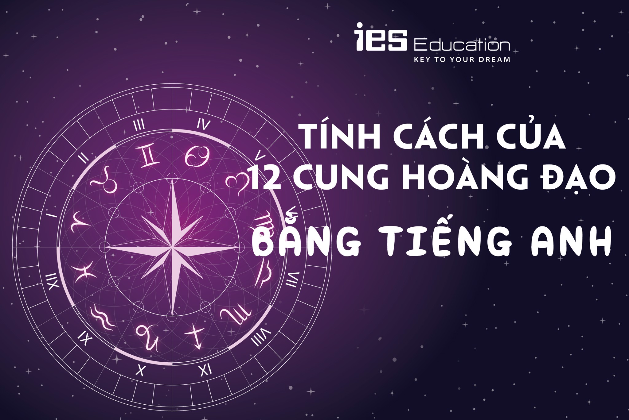 Tử vi 12 Cung Hoàng Đạo – Giải mã tính cách, Tình yêu, Nghề Nghiệp