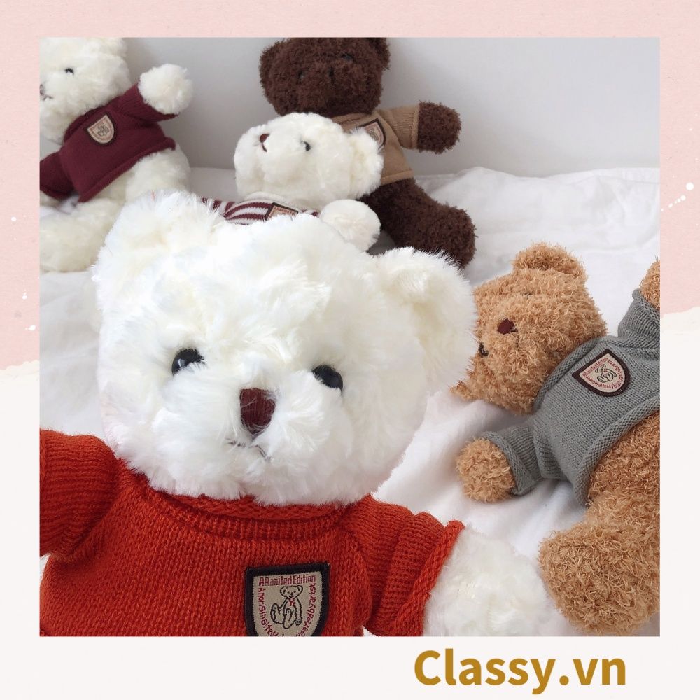  Classy Gấu bông Teddy mặc áo siêu êm siêu mịn B1375 