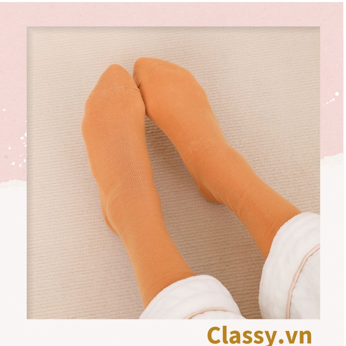  Classy Combo 2 đôi tất cotton cổ cao trơn nhiều màu G1401 