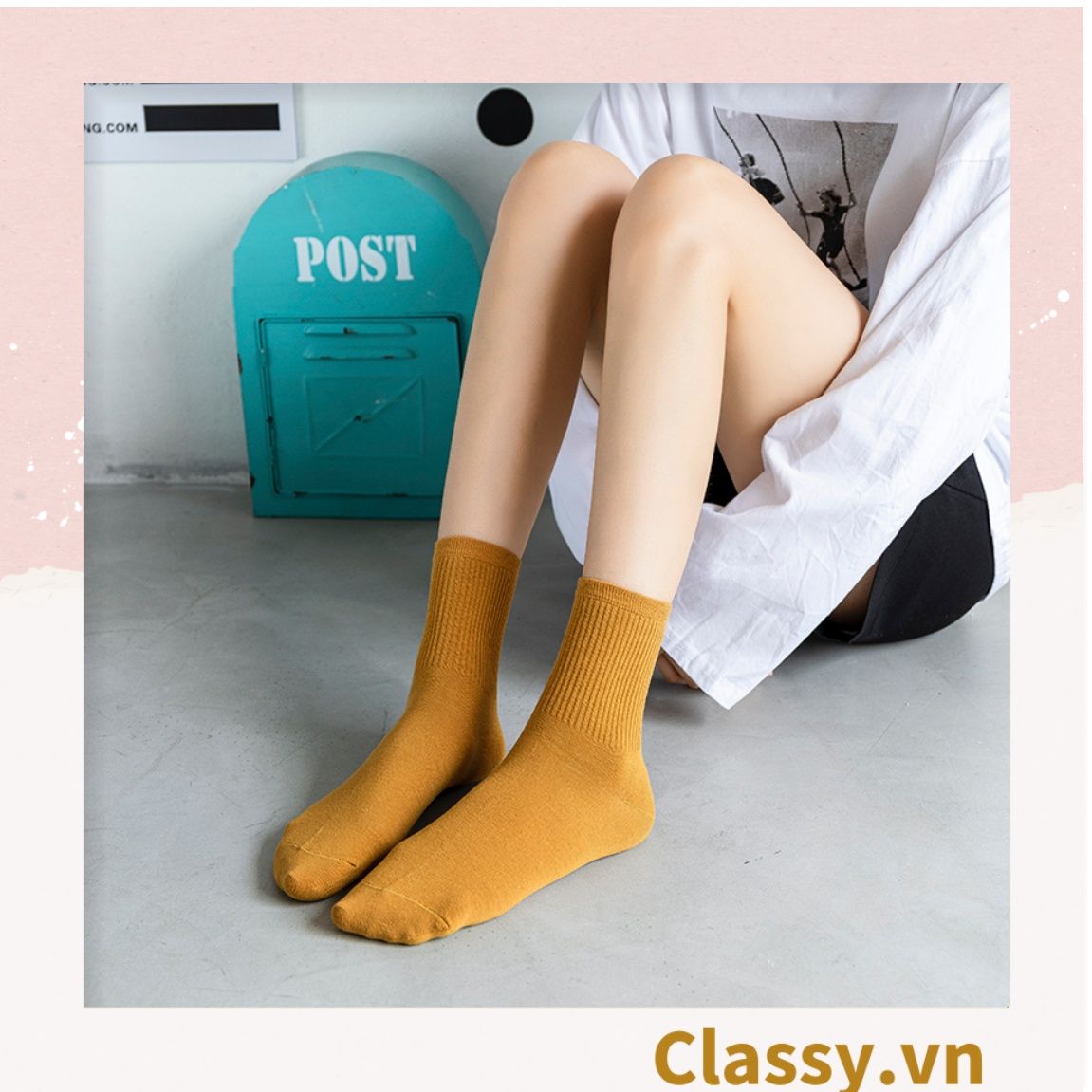 Classy Combo 2 đôi tất cotton cổ cao trơn nhiều màu G1401