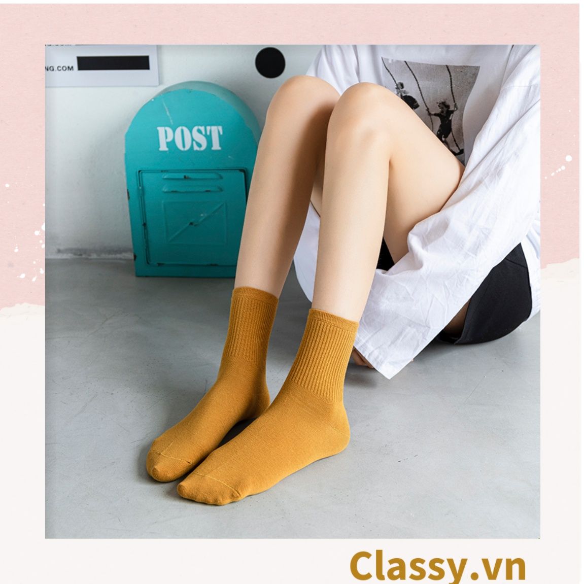  Classy Combo 2 đôi tất cotton cổ cao trơn nhiều màu G1401 