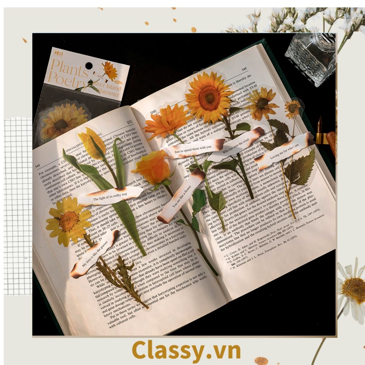 08 miếng Sticker Vintage hình hoa nhỉ thanh lịch dán sổ, dán laptop, điện thoại, đàn guitar, mũ bảo hiểm, vali, ipad PK1710