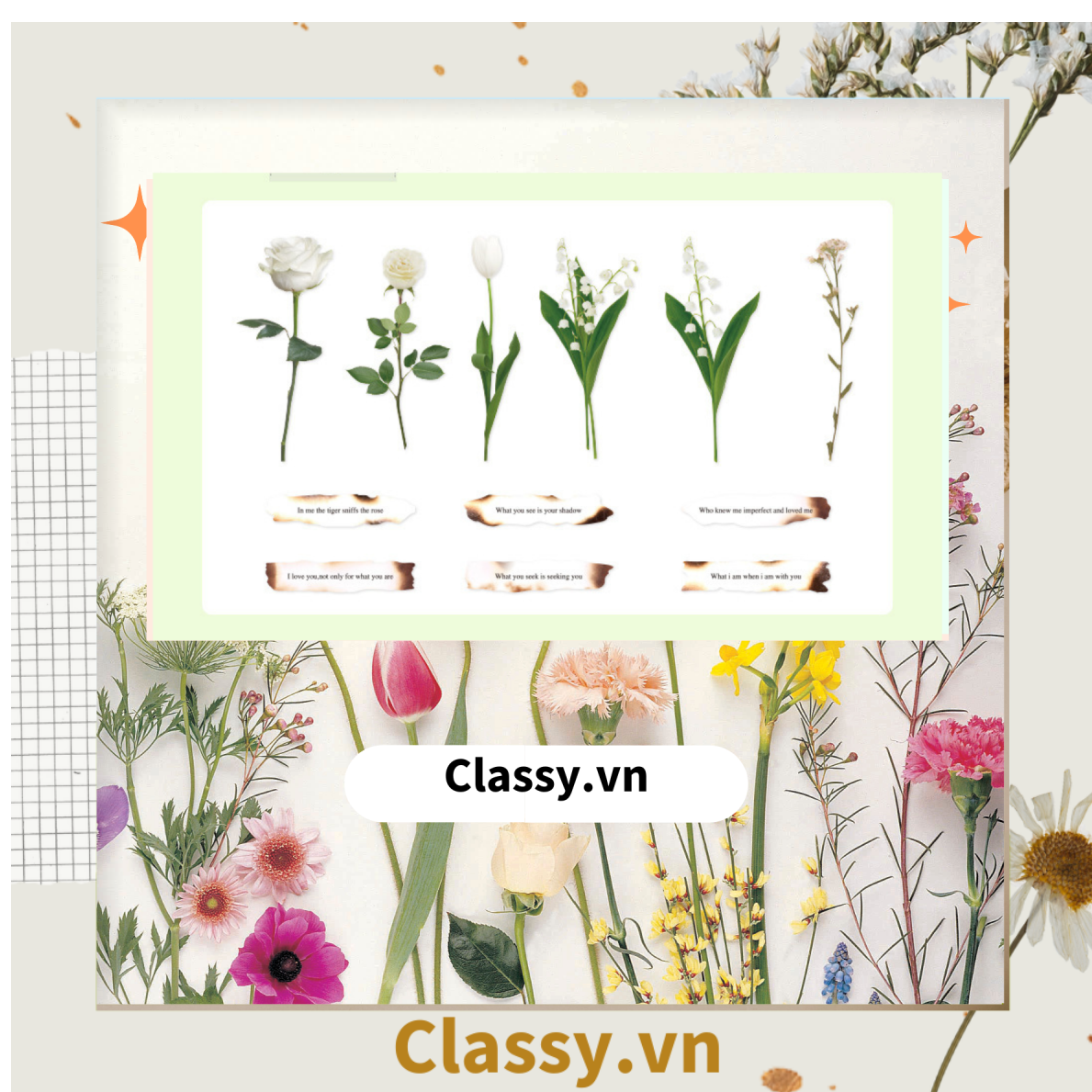 08 miếng Sticker Vintage hình hoa nhỉ thanh lịch dán sổ, dán laptop, điện thoại, đàn guitar, mũ bảo hiểm, vali, ipad PK1710