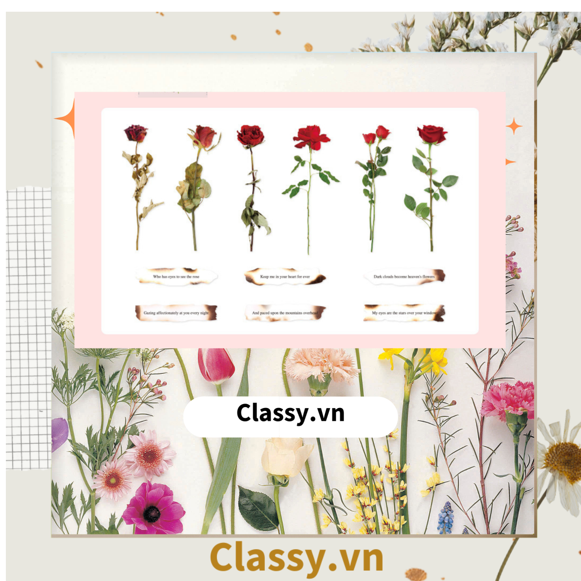 08 miếng Sticker Vintage hình hoa nhỉ thanh lịch dán sổ, dán laptop, điện thoại, đàn guitar, mũ bảo hiểm, vali, ipad PK1710