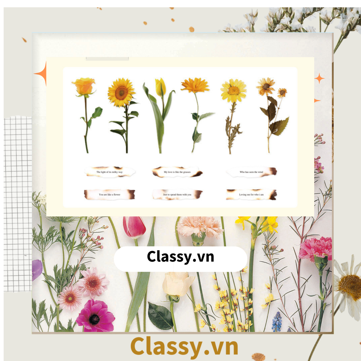 08 miếng Sticker Vintage hình hoa nhỉ thanh lịch dán sổ, dán laptop, điện thoại, đàn guitar, mũ bảo hiểm, vali, ipad PK1710