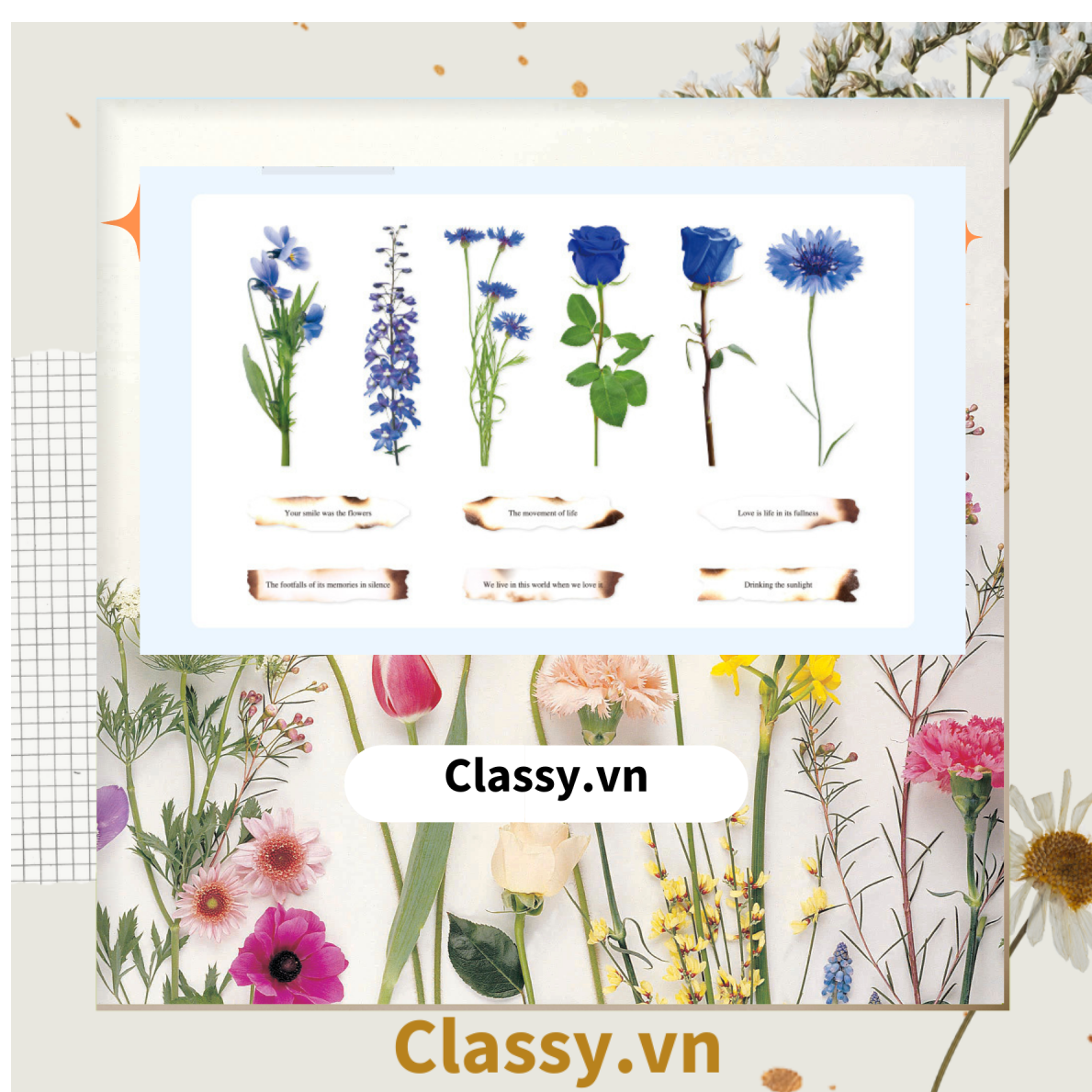 08 miếng Sticker Vintage hình hoa nhỉ thanh lịch dán sổ, dán laptop, điện thoại, đàn guitar, mũ bảo hiểm, vali, ipad PK1710