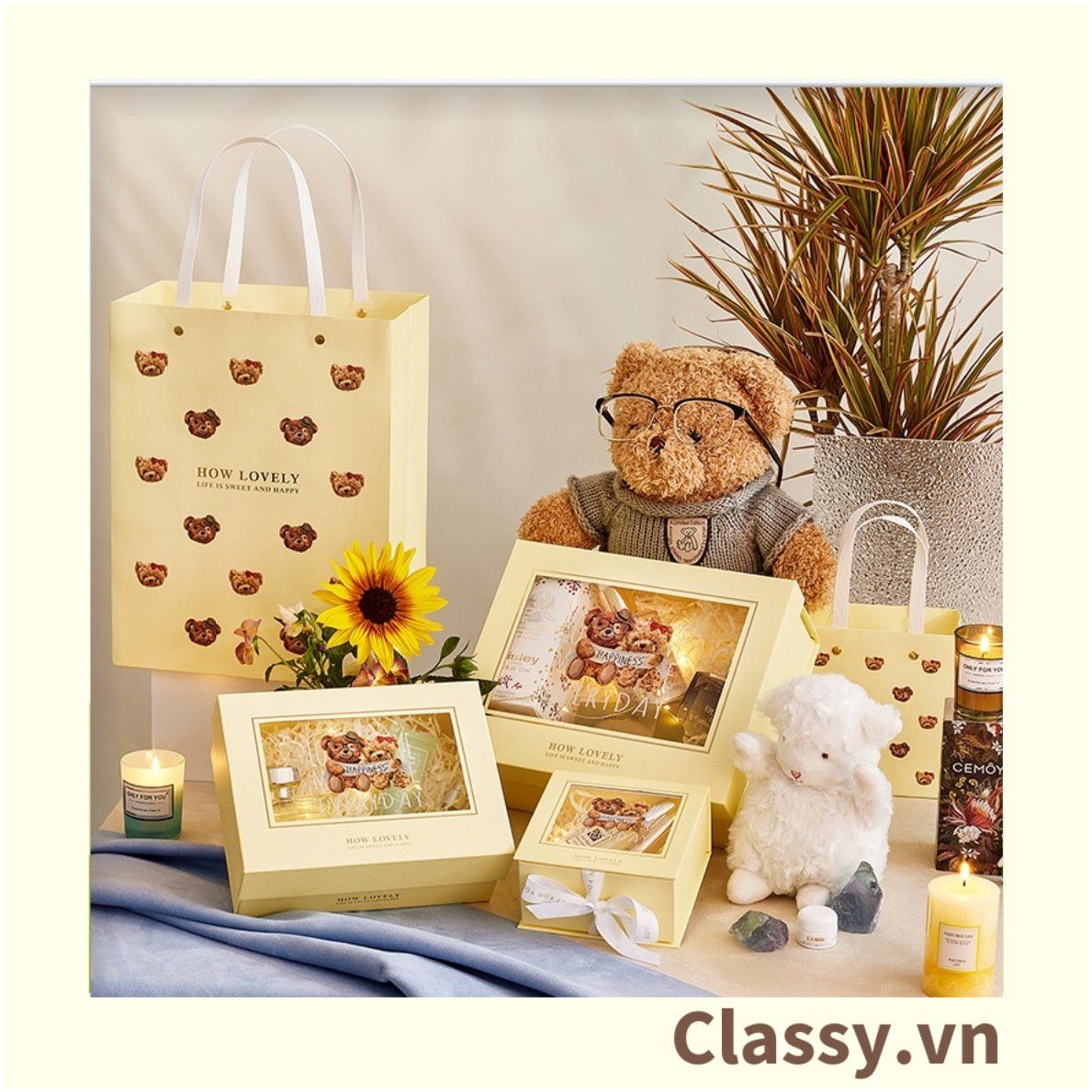 Classy Hộp quà tặng, Túi quà tặng dễ thương, quà sinh nhật, kỷ niệm Q1550