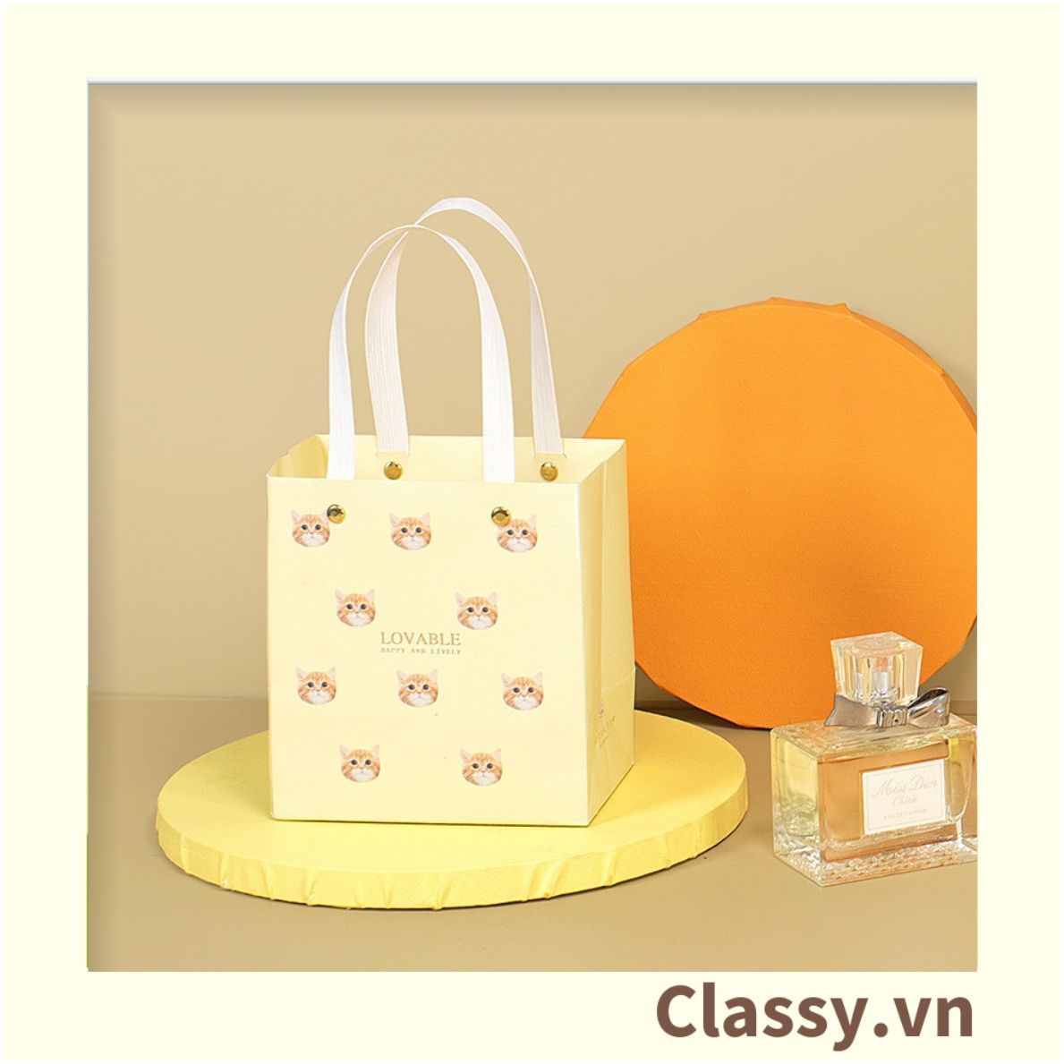 Classy Hộp quà tặng, Túi quà tặng dễ thương, quà sinh nhật, kỷ niệm Q1550