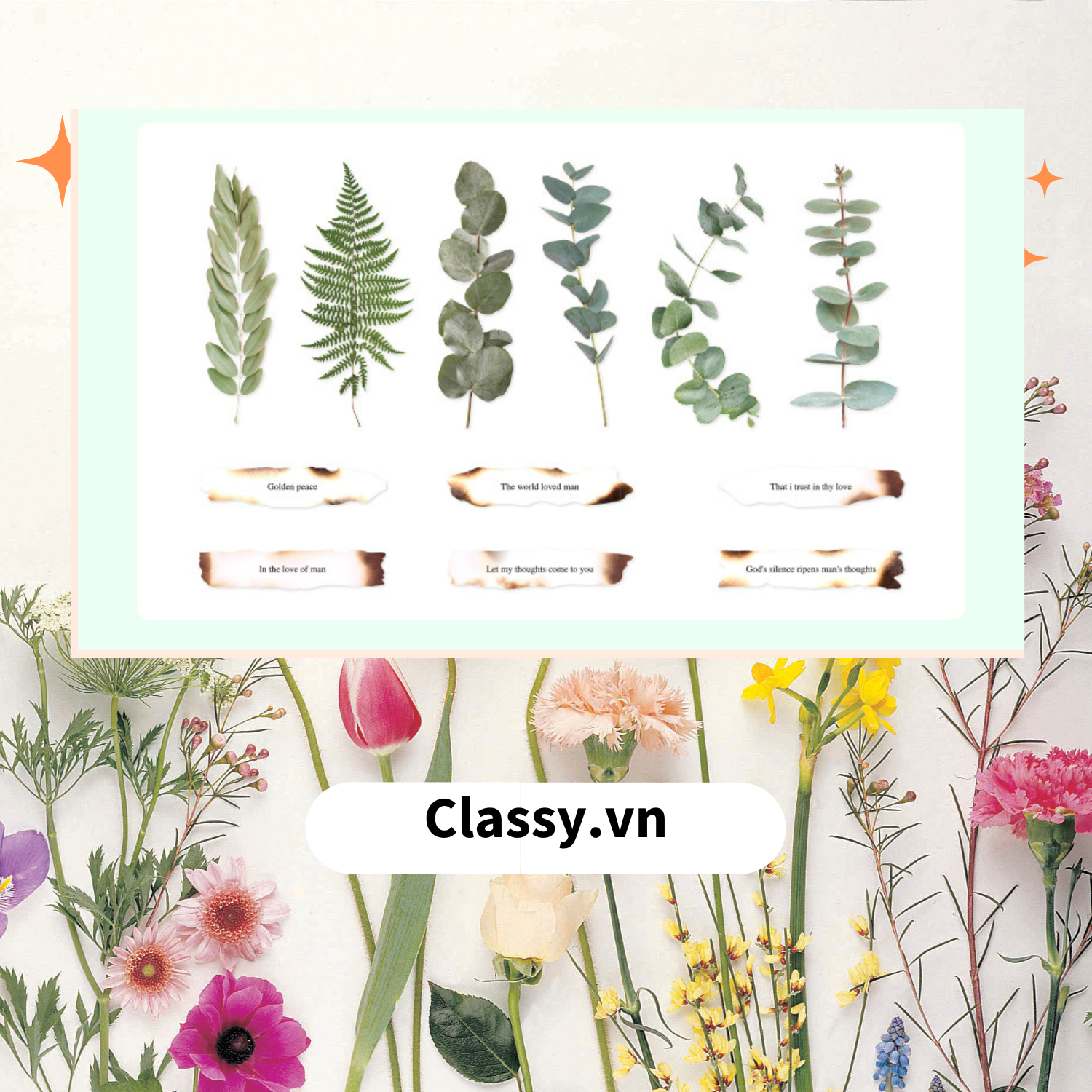 08 miếng Sticker Vintage hình hoa nhỉ thanh lịch dán sổ, dán laptop, điện thoại, đàn guitar, mũ bảo hiểm, vali, ipad PK1710