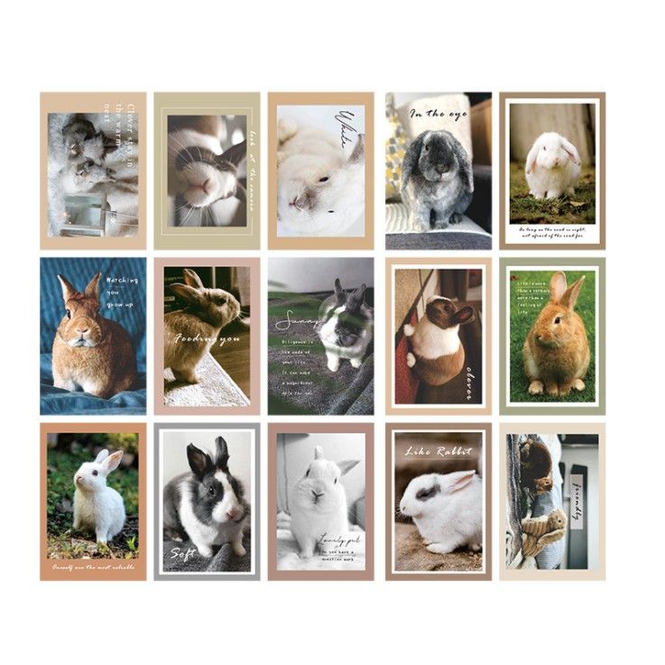 Set nhiều Thẻ ảnh, postcard Classy làm từ bìa cứng phong cách trang trí nhật ký/sách ảnh, dán tường, làm tranh Q1746