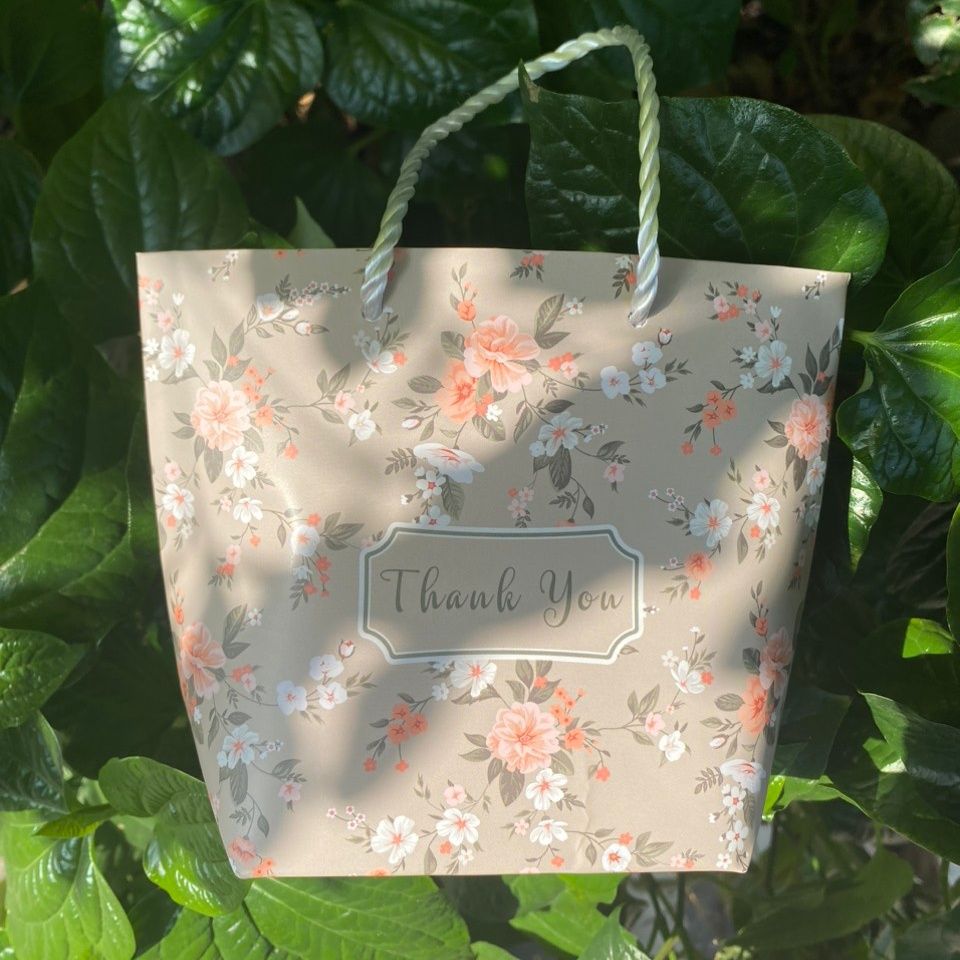 Túi giấy đựng quà thắt nơ in hình dễ thương 14 X 7 X 10 CM đựng son, trang sức, quà tặng đám cưới, lễ tết Q301