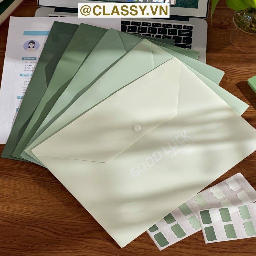 Túi Nút File Đựng Tài Liệu My Clear Bag A4 Nhiều Màu Bìa Đựng Tài Liệu Văn Phòng Lưu Trữ Hồ Sơ Giấy Tờ Classy Basic PK778