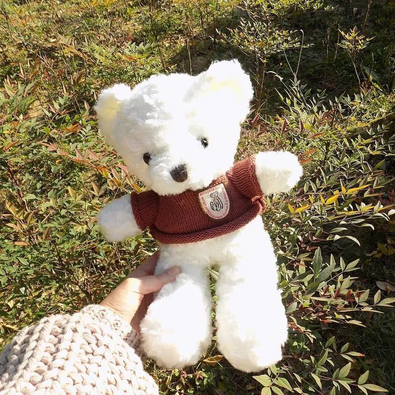 Classy Gấu bông Teddy mặc áo siêu êm siêu mịn B1375
