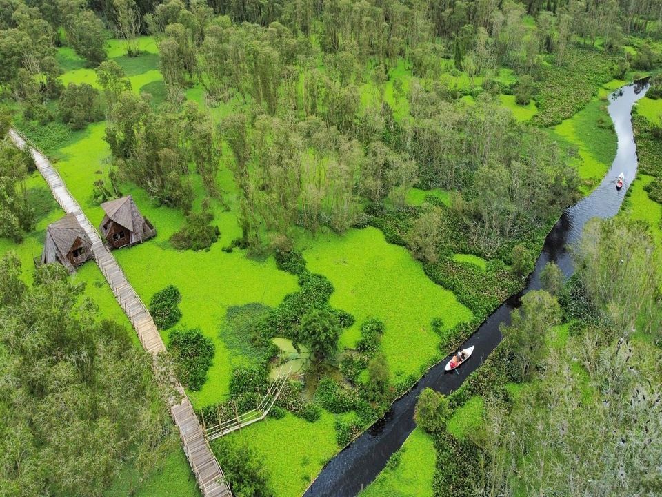 TOUR MIỀN TÂY 4N3D: MỸ THO - BẾN TRE - CHÂU ĐỐC - RỪNG TRÀM TRÀ SƯ - CẦN THƠ - BẠC - SÓC TRĂNG - CÀ MAU