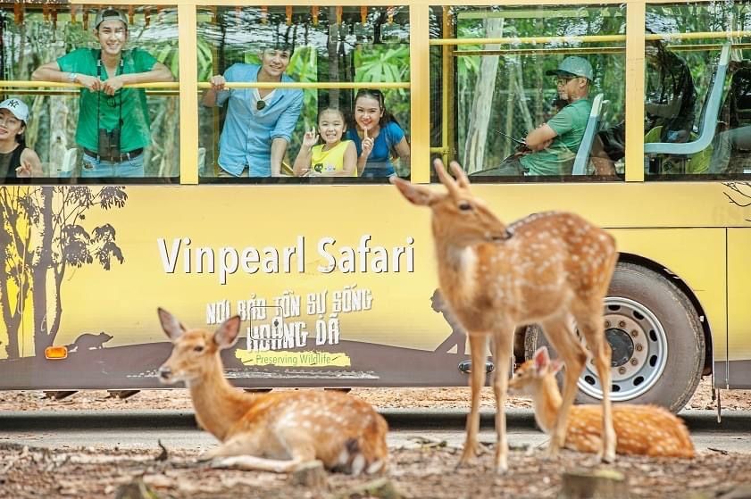 BẢNG GIÁ VÉ VINWONDERS, SAFARI, CÁP TREO HÒN THƠM PHÚ QUỐC 2024