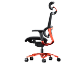  Ghế Gaming Cougar Argo Ergonomic - Black/Orange 